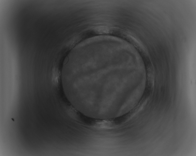 X0000100920125200807151230