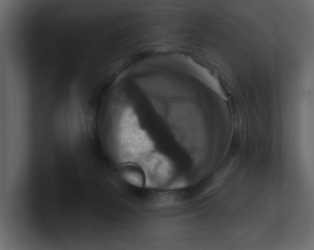 X0000100920127200807151230