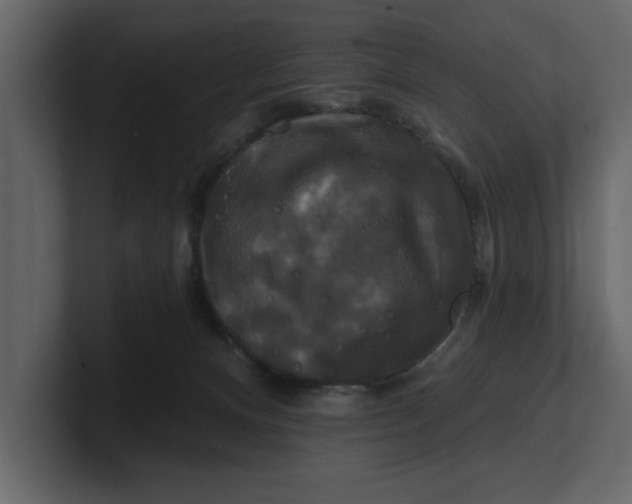 X0000100920128200807151230
