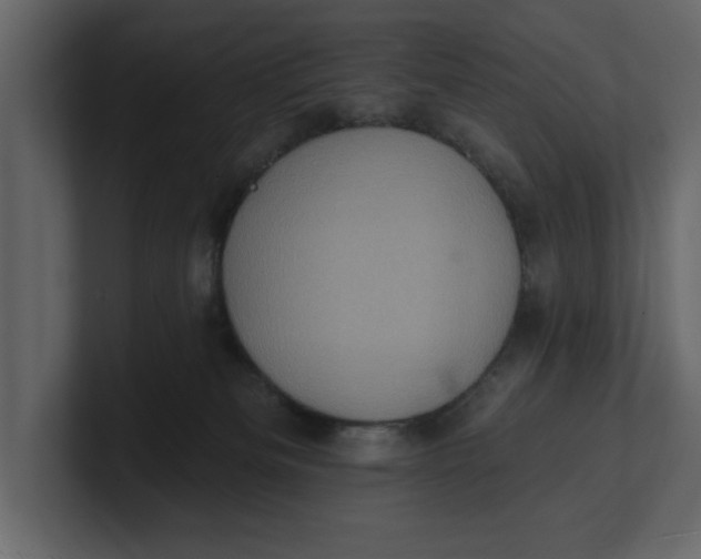 X0000100920133200807151230