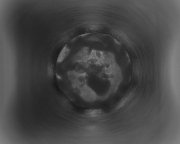 X0000100920135200807151230