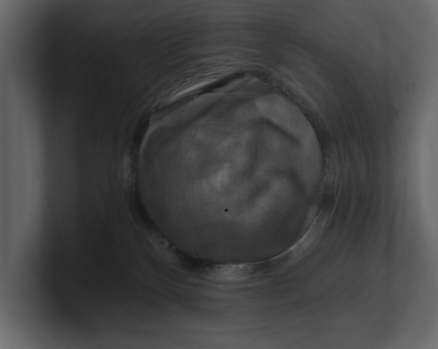 X0000100920136200807151230