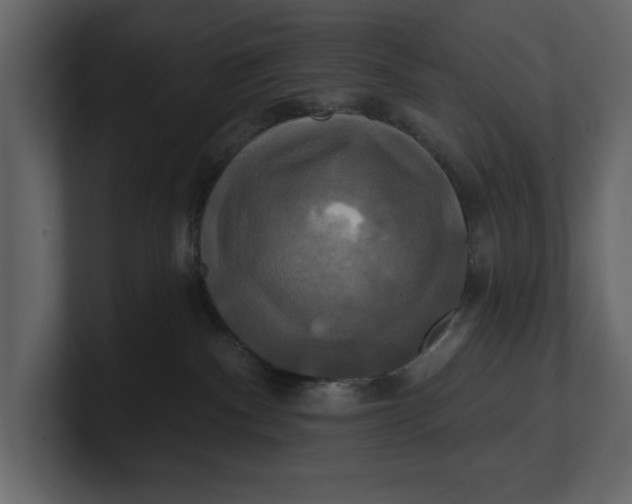 X0000100920140200807151230