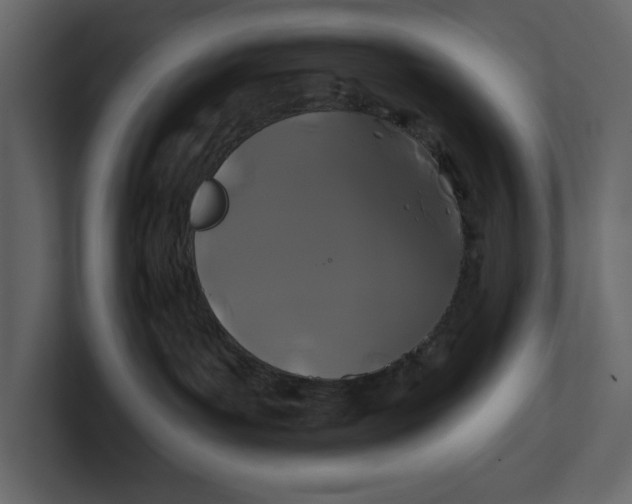X0000100920143200807151230
