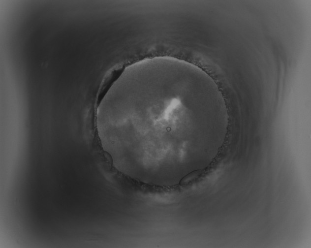 X0000100920144200807151230