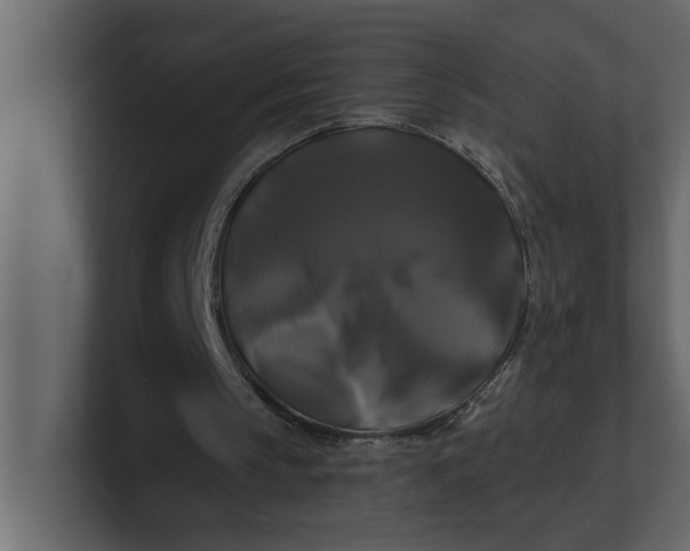 X0000100920145200807151229