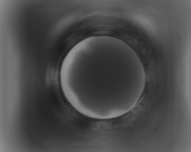 X0000100920146200807151229