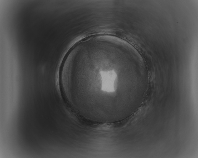 X0000100920148200807151229