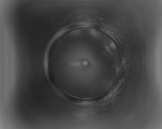 X0000100920149200807151229