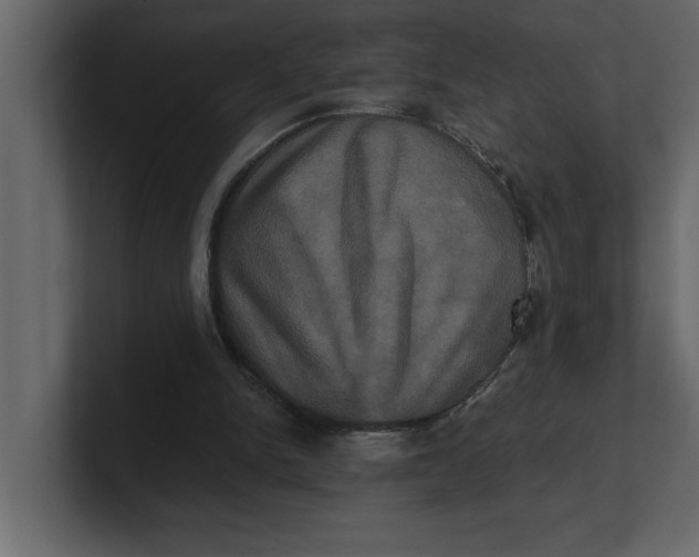 X0000100920150200807151230