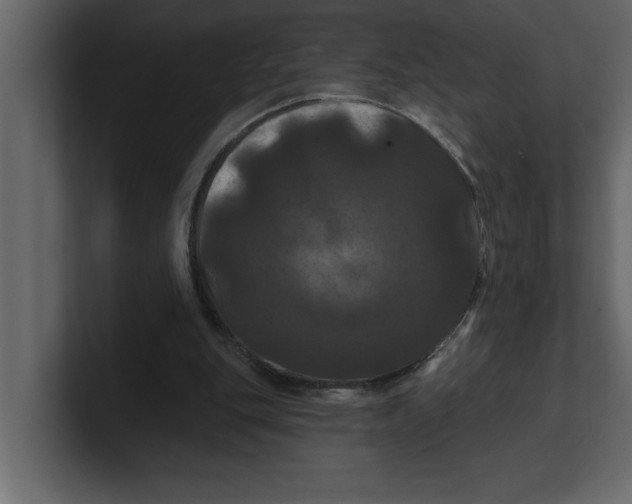 X0000100920151200807151230