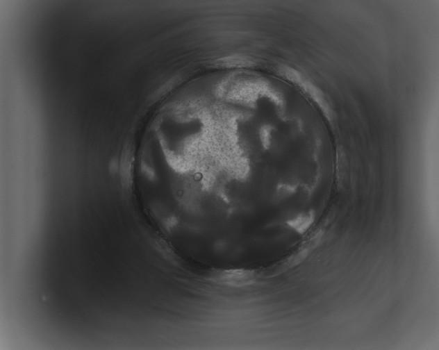 X0000100920153200807151230