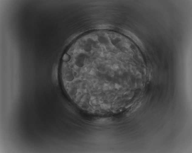 X0000100920155200807151230