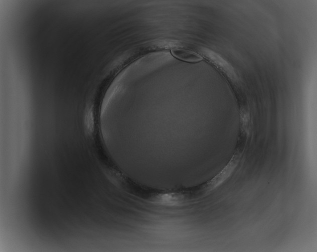 X0000100920158200807151230