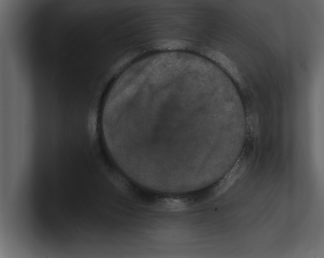 X0000100920159200807151230