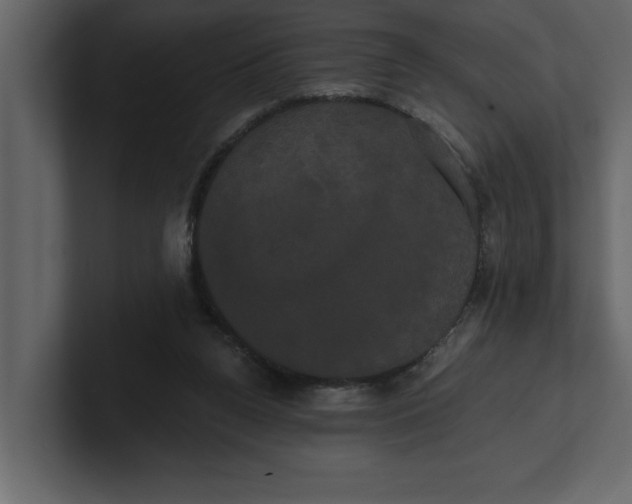 X0000100920160200807151230