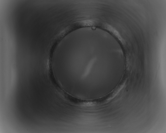 X0000100920161200807151230