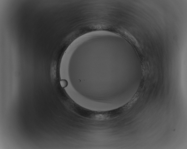 X0000100920163200807151230