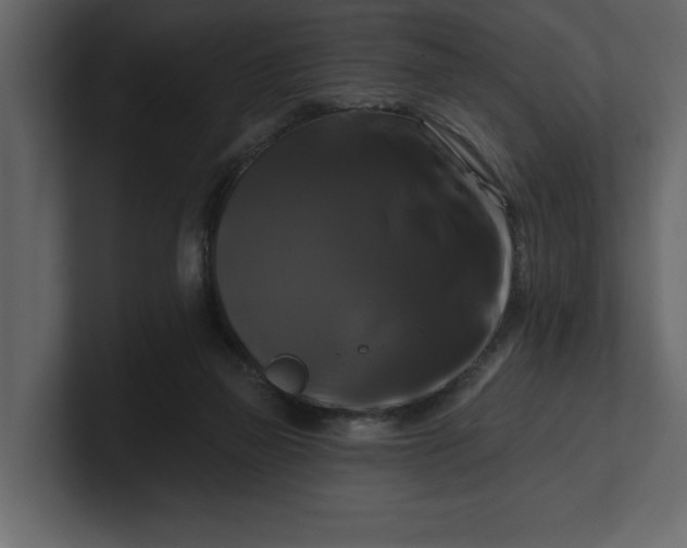 X0000100920165200807151230