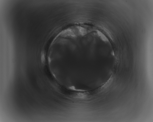 X0000100920166200807151230