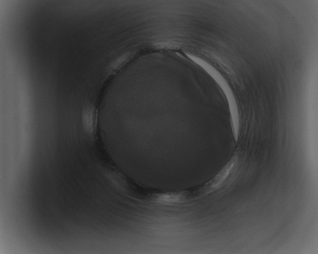 X0000100920168200807151230