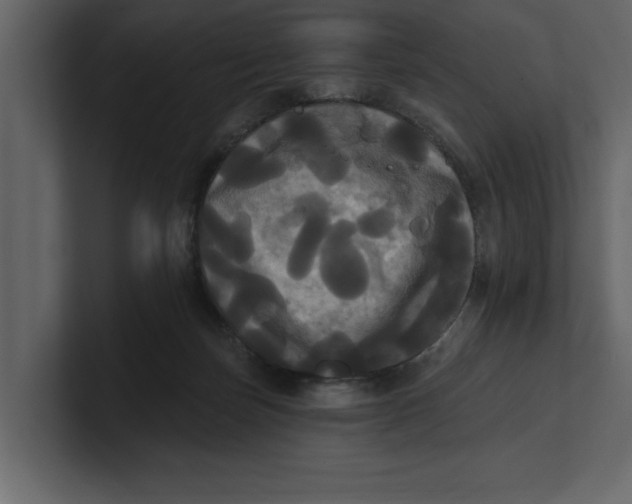 X0000100920171200807151230