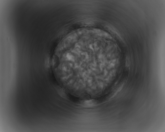 X0000100920173200807151230