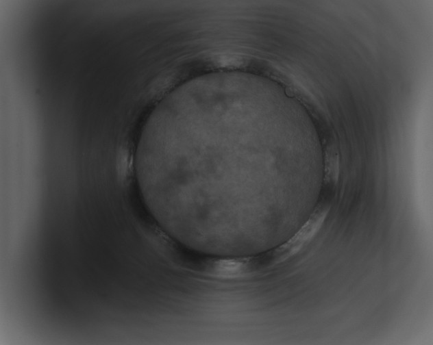 X0000100920176200807151230