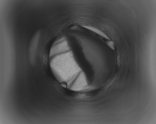 X0000100920177200807151230