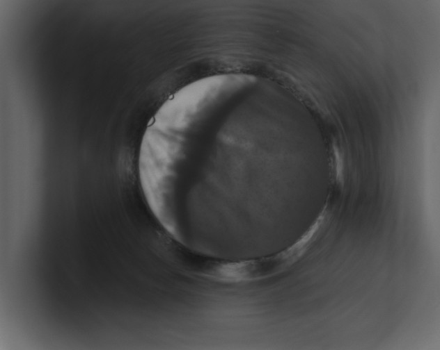 X0000100920178200807151230