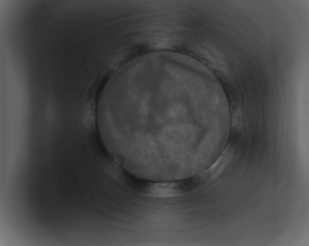 X0000100920179200807151230