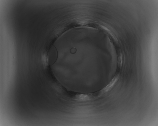 X0000100920180200807151230