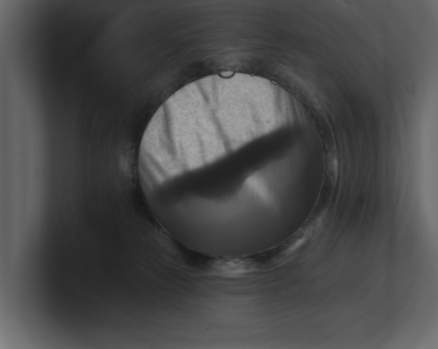 X0000100920181200807151230