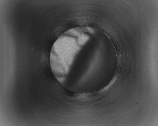 X0000100920182200807151230