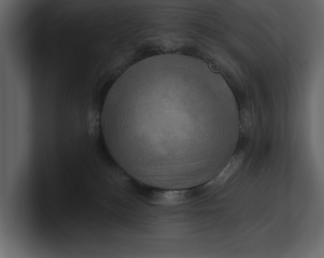 X0000100920184200807151230