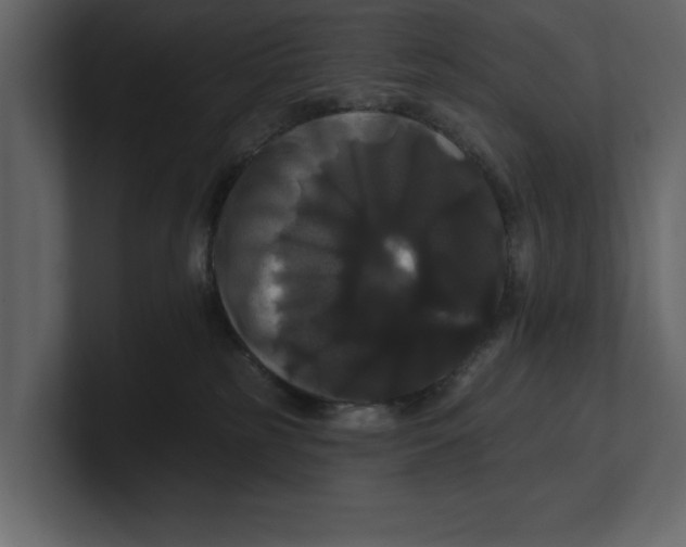 X0000100920185200807151230
