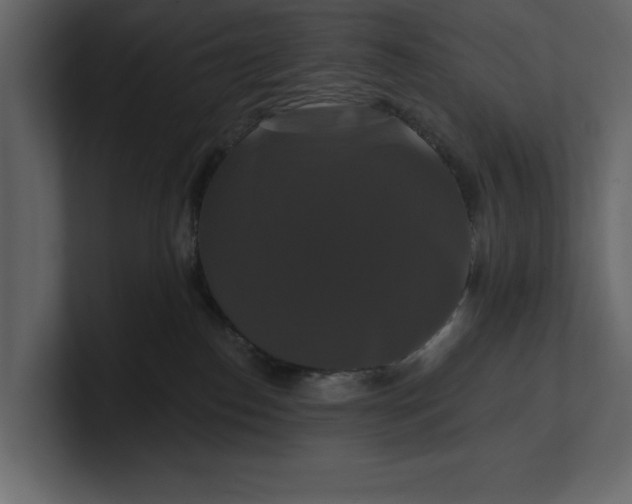 X0000100920186200807151230
