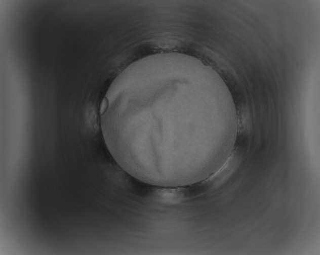 X0000100920187200807151230