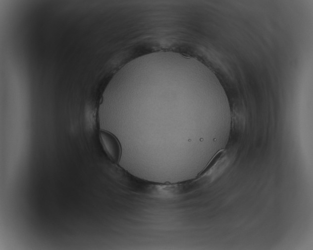 X0000100920188200807151230