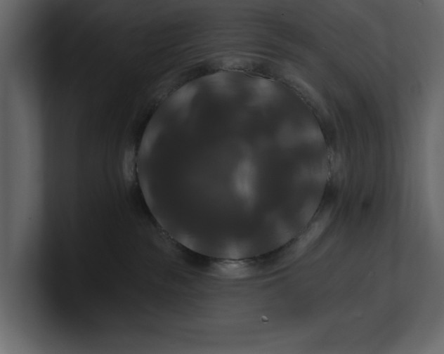 X0000100920189200807151230