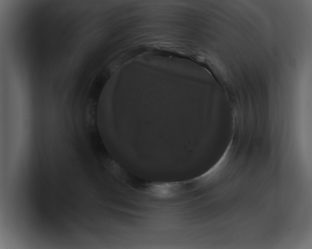 X0000100920190200807151230