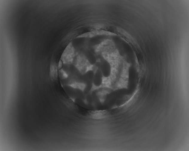 X0000100920191200807151230