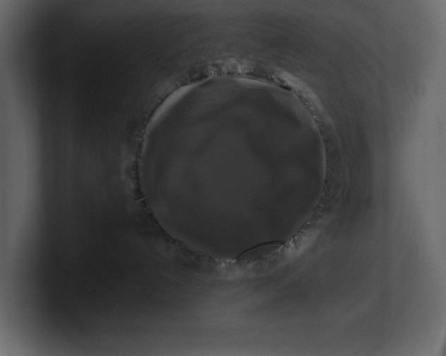X0000100920192200807151230