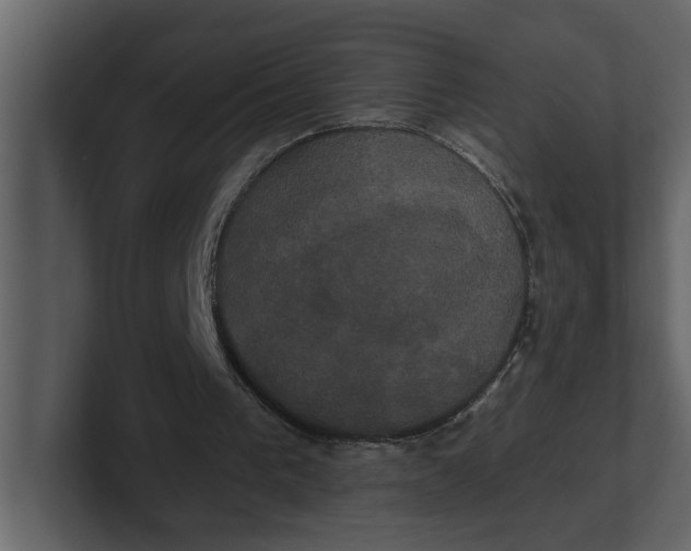 X0000100920193200807151229