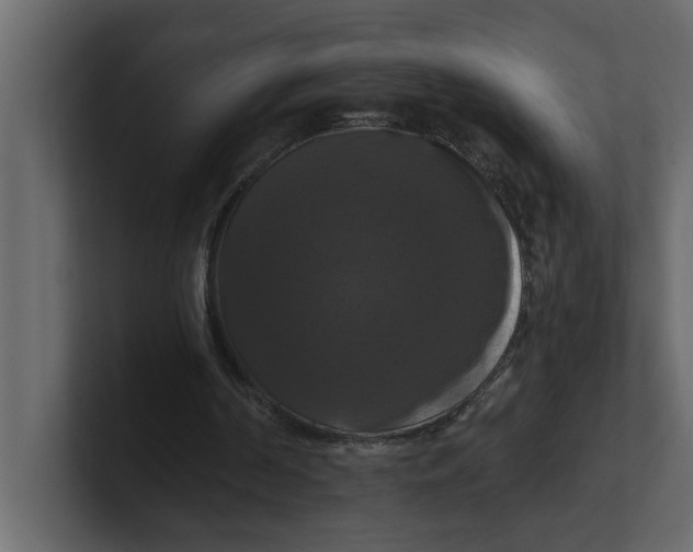 X0000100920194200807151229