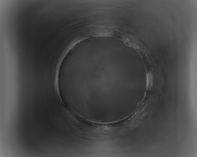 X0000100920195200807151229