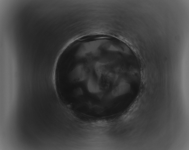 X0000100920196200807151229