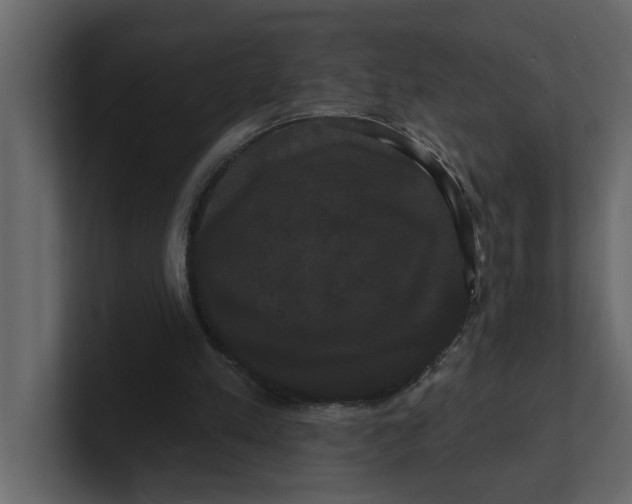 X0000100920197200807151229