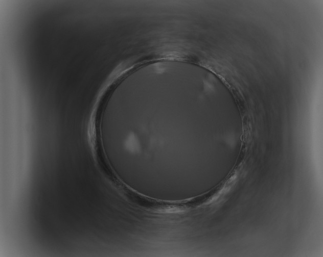 X0000100920198200807151229