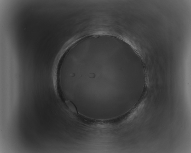 X0000100920199200807151229